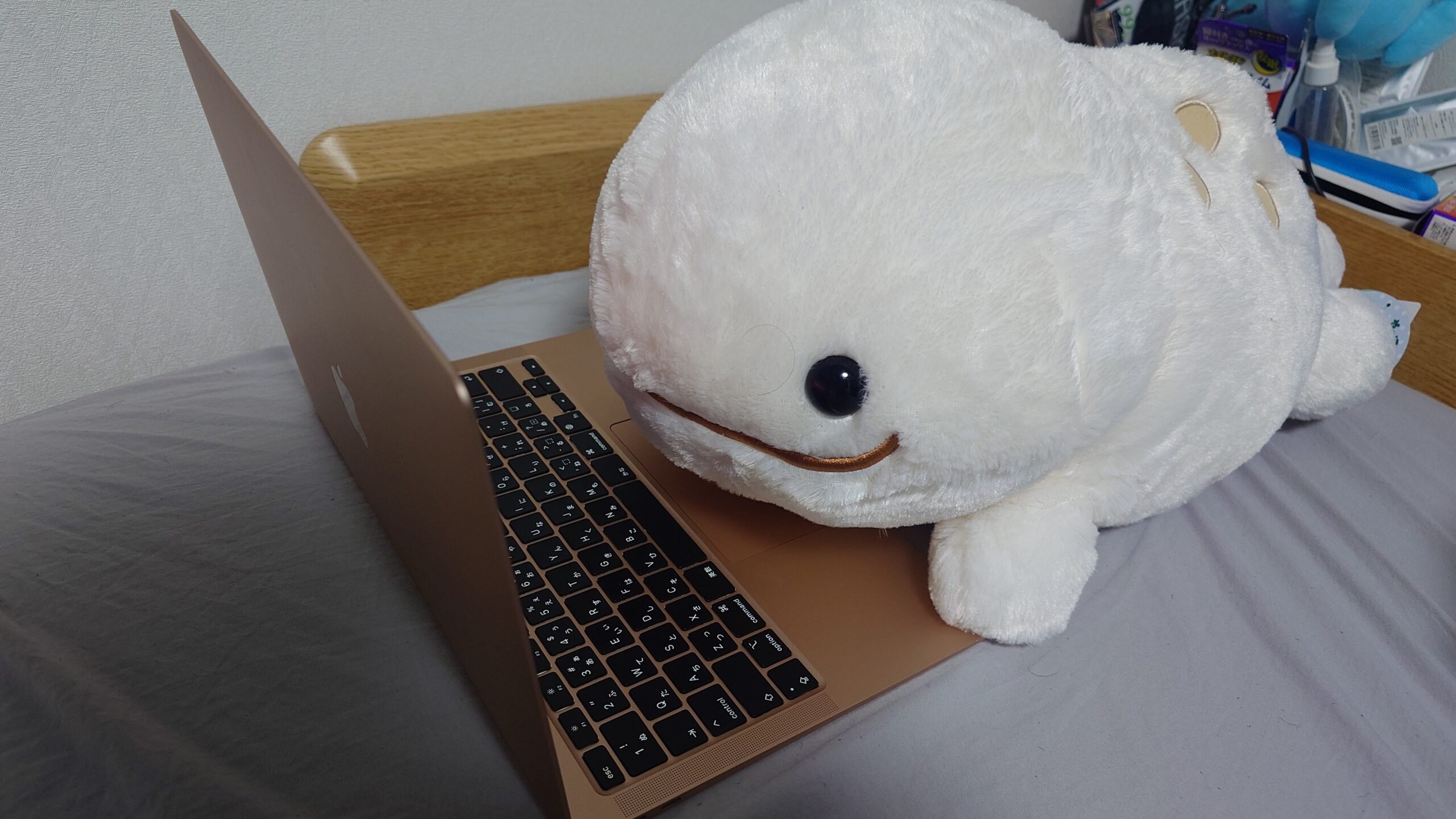ぬーみん